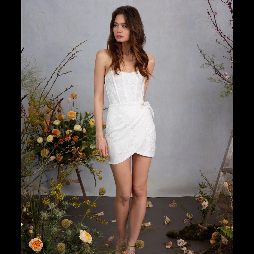 V. Chapman Nigella Dress Size 2
